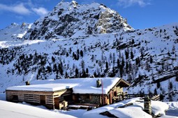 Mountain hut with rooms Baita Belvedere