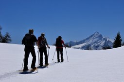 Mountain guides Sirdar Montagne et Aventure