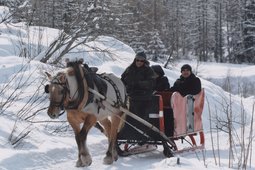 Centro turismo equestre Le Traîneau