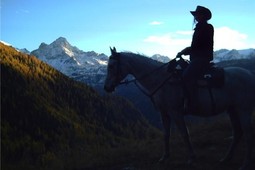 Riding farm LTHorses Stables