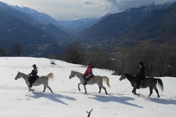 Riding farm Cavallo e Natura