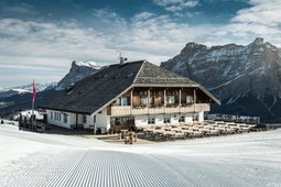 Mountain Hut-Hotel Pralongià