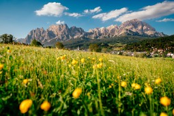 Info Point Cortina d'Ampezzo