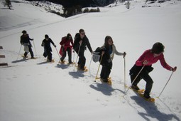 Ausflugsleiter Donato Arcaro