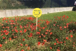 Farm Ambiente Grumei