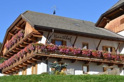 Farmhouse apartments Nantlhof