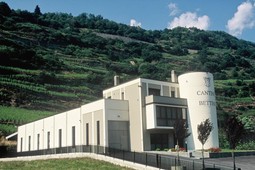 Casa Vinicola F.lli Bettini