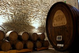 Winery Balgera Vini