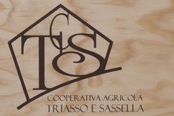 Cooperative Wine Cellar Triasso e Sassella