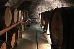 Wine Cellar Dirupi
