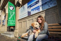 Albergo diffuso La Marmote