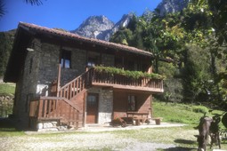 Bed & Breakfast L'Asinello Rampante