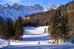Ski resort Forni di Sopra - Varmost