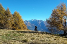 Mountainbike-Lehrer Danilo Martinelli