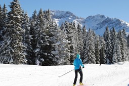 Skizentrum Passo di Lavazè-Passo Oclini