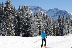 Ski resort Passo di Lavazè-Passo Oclini