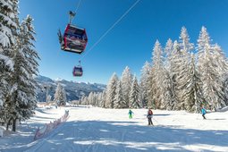 Ski resort Bellamonte-Alpe Lusia