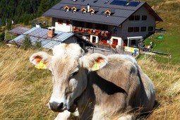 Mountain hut Capanna Passo Valles