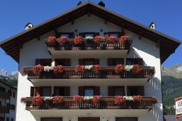 Garni + Appartamenti Mariolina