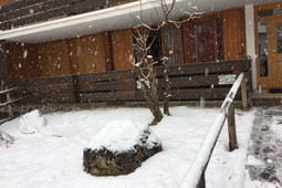 Apartment Condominio Le Nasse