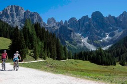 ApT S.Mart - Büro in San Martino di Castrozza