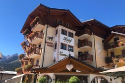 Cavallino Lovely Hotel