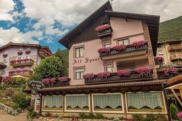 Hotel Alt Spaur