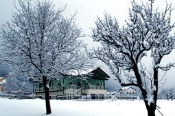 B&B in agriturismo Florandonole