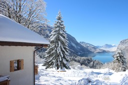 Farmhouse B&B Ai Castioni