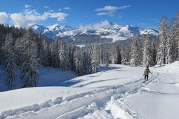 Guide alpine Adamello Dolomiti di Brenta