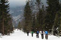 Biky Bici e Natura - Escursioni guidate in mtb e fat bike