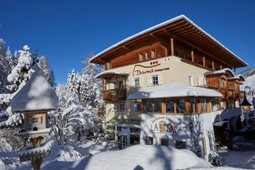 Dolomit Boutique Hotel