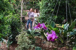 Raffeiner Orchideenwelt
