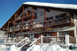 Hotel Grizzly