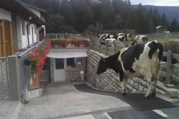 Caseificio Maso Engher