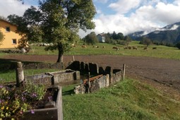 Azienda agricola Fattoria Lenzi