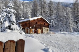 Appartamenti Chalet La Masonecia