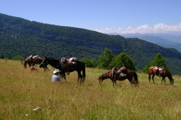 Riding farm Cavalca il Vento