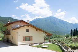 Farmhouse B&B Casteller