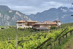 Farmhouse apartments Maso Tratta