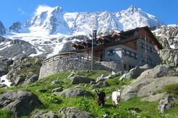 Berghütte mit Zimmern Stavel F. Denza