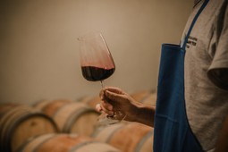 Azienda agricola Fontana Graziano