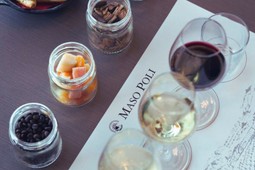 Azienda agricola Maso Poli