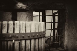 Weinkellerei Vignaiolo Fanti