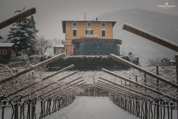 Farm Albino Martinelli