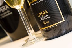 Wine Cellar Opera