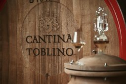 Wine Cellar Toblino