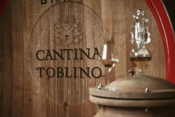 Cantina Toblino