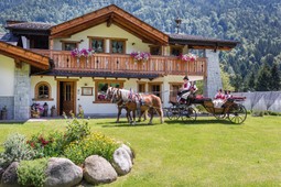 B&B auf dem Bauernhof Maso Grisun