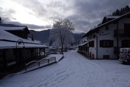 Camping Parco Adamello